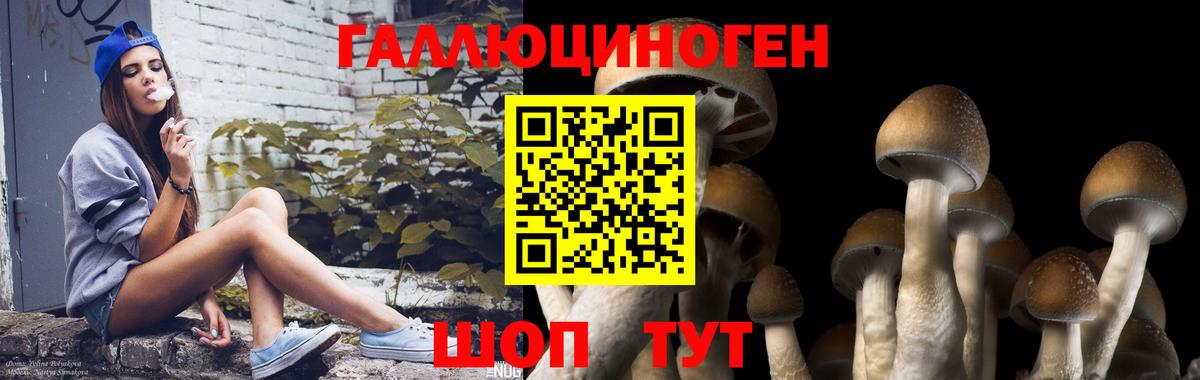 Псилоцибиновые грибы прущие грибы Зеленогорск